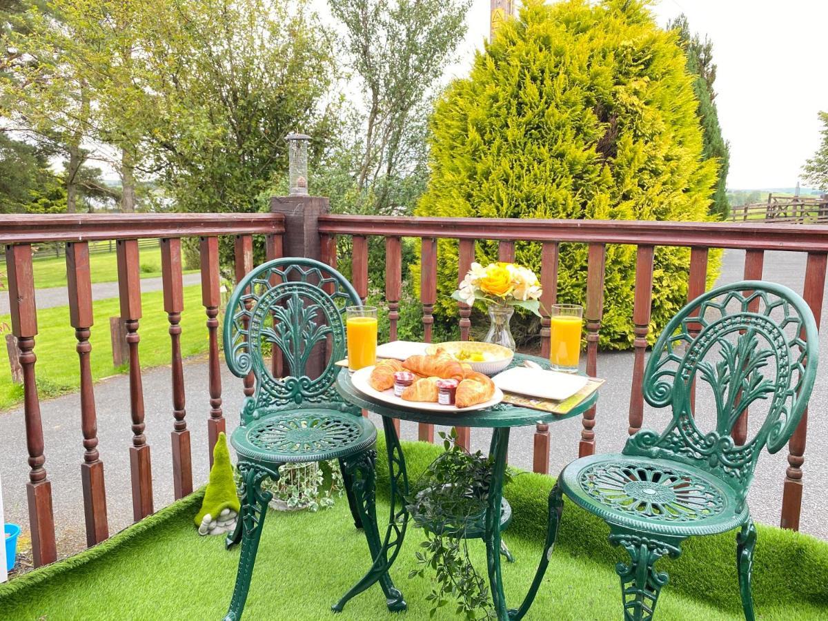 Lake District Cottage In 1 Acre Gardens Off M6 เพนริท ภายนอก รูปภาพ