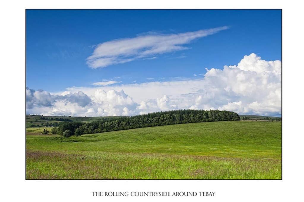 Lake District Cottage In 1 Acre Gardens Off M6 เพนริท ภายนอก รูปภาพ